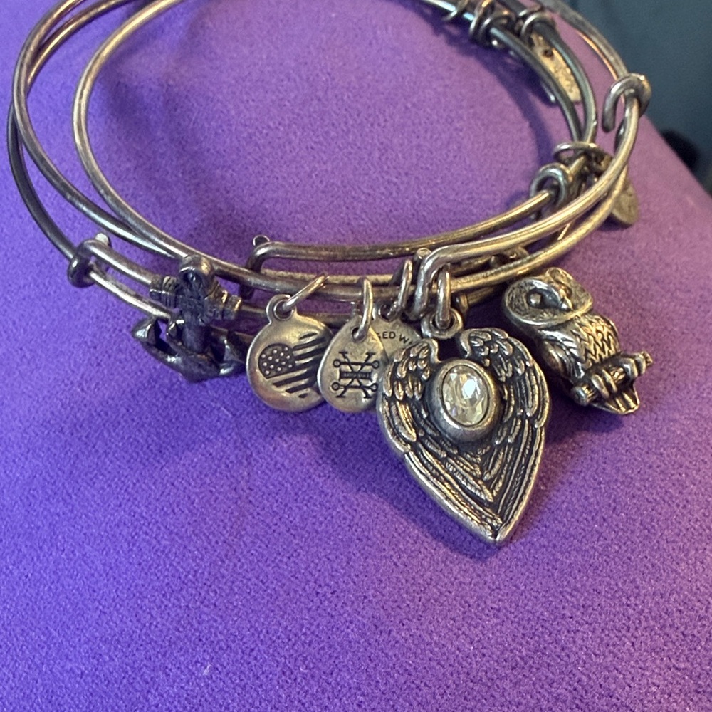 Alex and Ani silver Tone Heart, anchor & Owl Charm Bangle Set